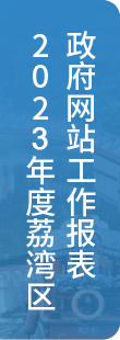 2022年度荔灣區(qū)政府網(wǎng)站工作報(bào)表